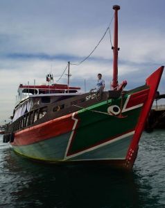 48136_579021578777470_2057773482_n