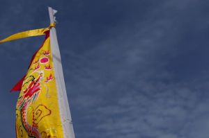 522709_579026902110271_324535933_n