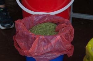 62162_579023035443991_1138543801_n